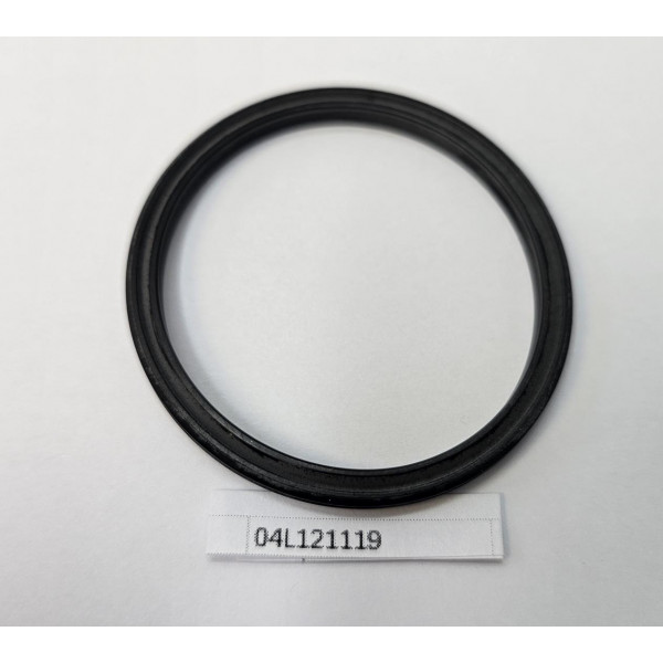 Dichtring O-Ring 04L121119