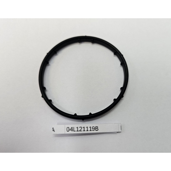 Dichtring O-Ring 04L121119B