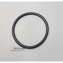 Dichtring O-Ring 06B121119B