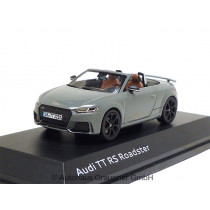 Audi TT RS Roadster Nardograu Modellauto 1:43 iScale 5011610531 1/43 Miniatur Grau Grey