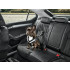 Skoda Hundeschutzgurt Größe M - mittelgroße Hunde Gurt Anschnallgurt Hundegurt 000019409B