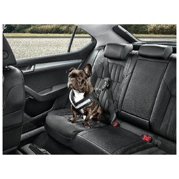 Skoda Hundeschutzgurt Größe M - mittelgroße Hunde Gurt Anschnallgurt Hundegurt 000019409B