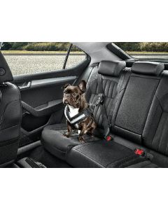 Skoda Hundeschutzgurt Gr&ouml;&szlig;e M - mittelgro&szlig;e Hunde Gurt Anschnallgurt Hundegurt 000019409B