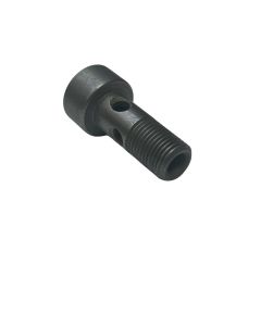 VW T6 Crafter Hohlschraube WHT002643