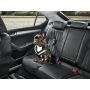 Skoda Hundeschutzgurt Größe M - mittelgroße Hunde Gurt Anschnallgurt Hundegurt 000019409B