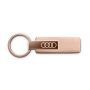 Audi Ringe Schlüsselanhänger Edelstahl rosé Anhänger Key Ring 3182501830