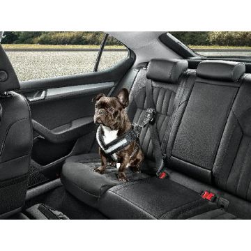Skoda Hundeschutzgurt Größe M - mittelgroße Hunde Gurt Anschnallgurt Hundegurt 000019409B