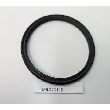 Dichtring O-Ring 04L121119