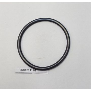 Dichtring O-Ring 06B121119B