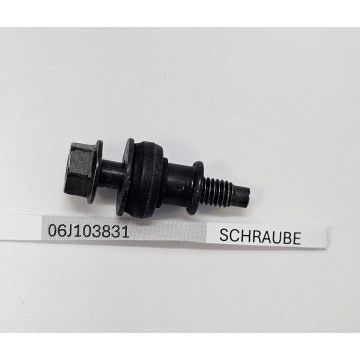 Innensechsrund Linsenschraube mit Führungshülse 06J103831