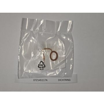 Dichtring 07Z145117A